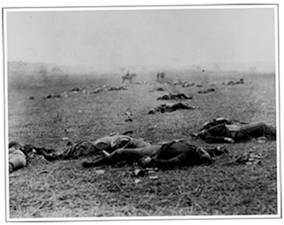 Cynthia Wachtell, antiwar writer